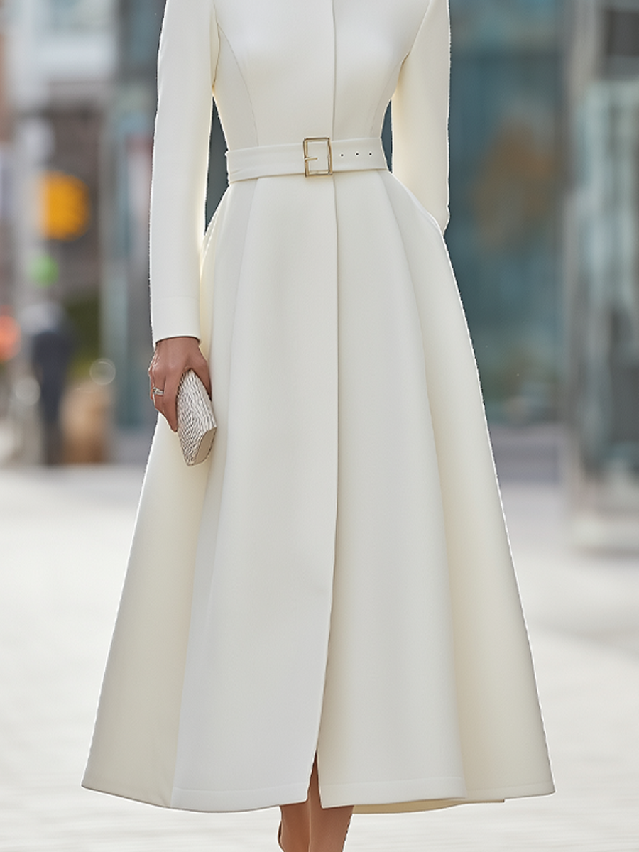 Stand Collar Concealed Placket Belted Fit And Flare Midi Coat Dress
