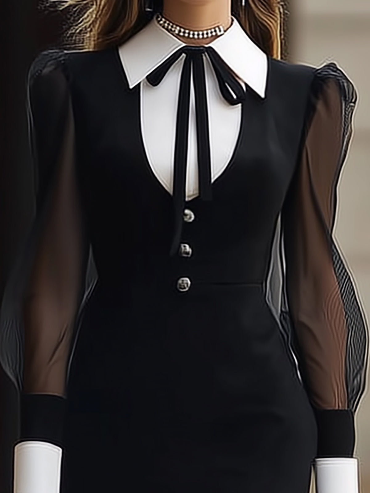 Chic Black White Contrast Mesh Sleeve Mini Dress