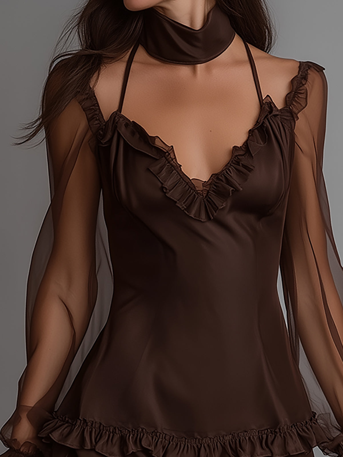 Chocolate Brown Sheer Mesh Sleeve Mini Dress