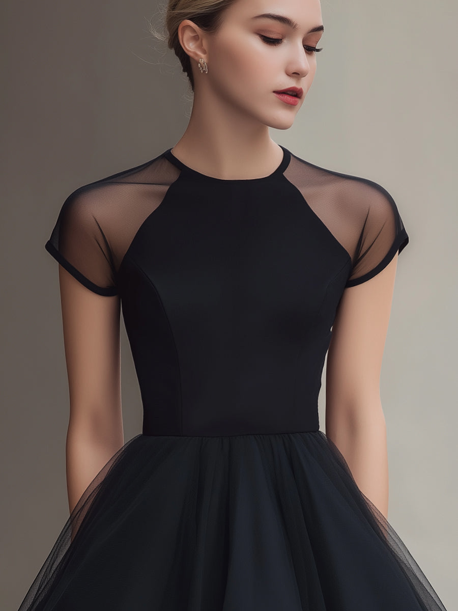 Sheer Panel Short Sleeve Tulle Mini Dress