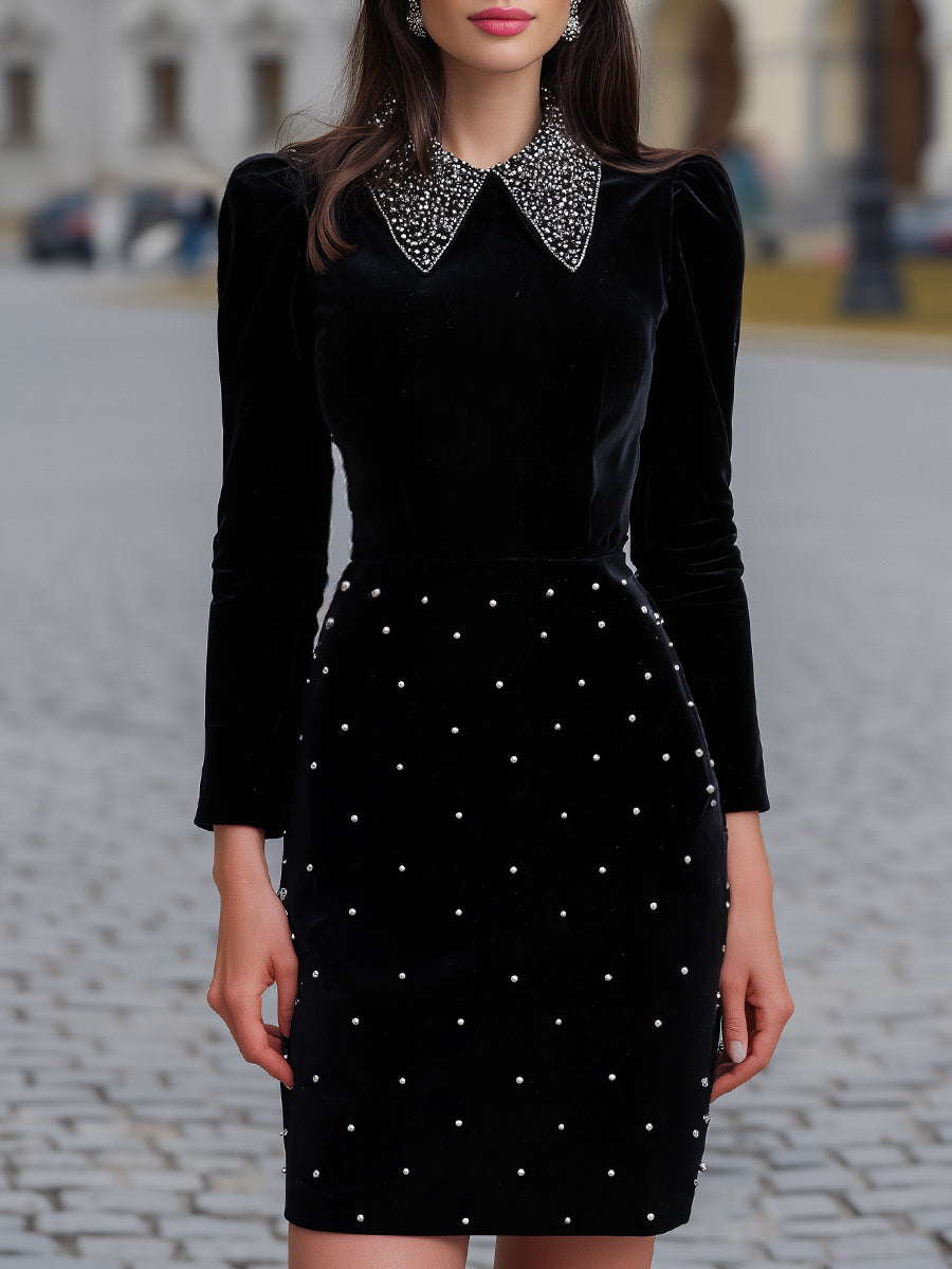 Embellished Collar Velvet Dress With Beaded Skirt