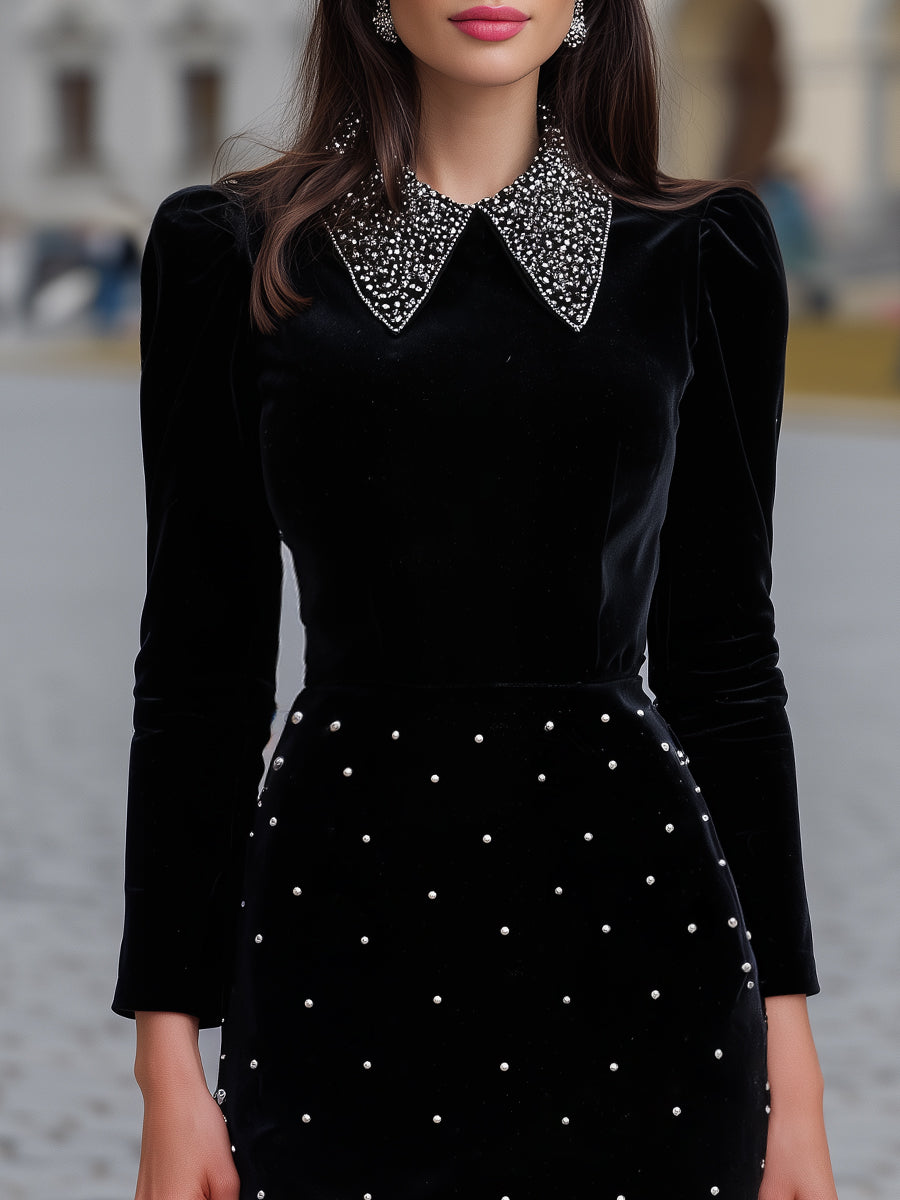 Embellished Collar Velvet Dress With Beaded Skirt